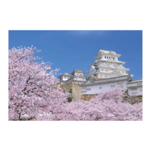 Postkort/Card: Himeji-slottet i full vårblomstring