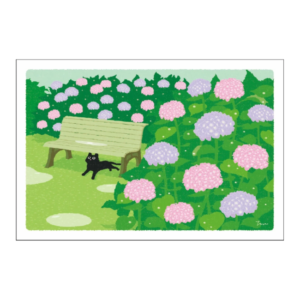Postkort/Card: Sommerregn og katt
